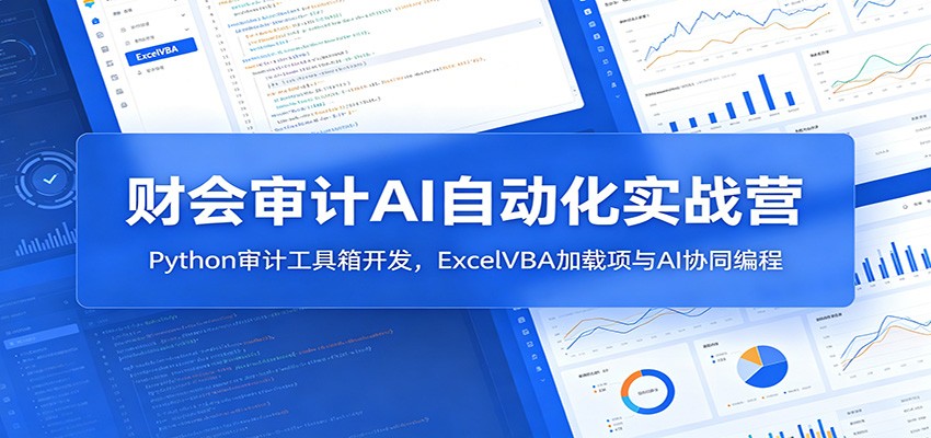 财会审计AI自动化实战营：Python审计工具箱开发，ExcelVBA加载项与AI协同编程-项目资源网