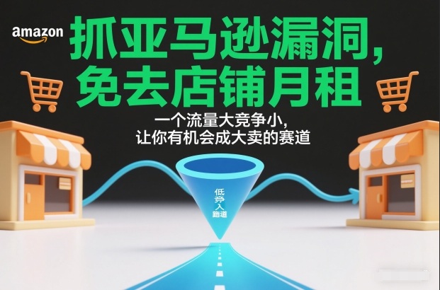 抓亚马逊漏洞，免去店铺月租，一个流量大竞争小，让你有机会成大卖的赛道-项目资源网